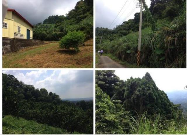 苗栗大湖農地-2