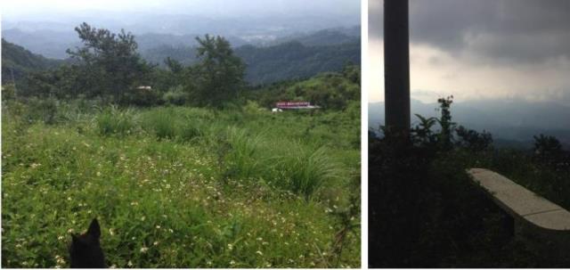 苗栗大湖農地-3