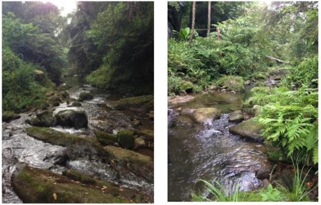 苗栗大湖農地-4