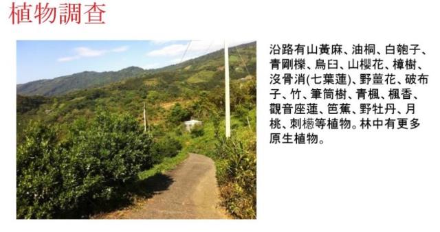 苗栗大湖農地-5